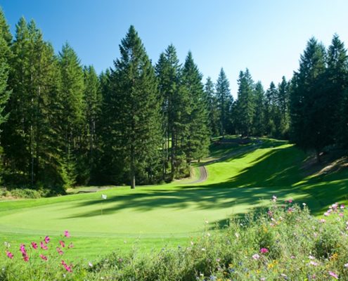 Washington Golf Courses - Gold Mountain Golf Club, Bremerton, WA