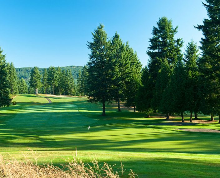 Gold Mountain Cascade Golf Course Bremerton, WA Gold Mountain Golf Club