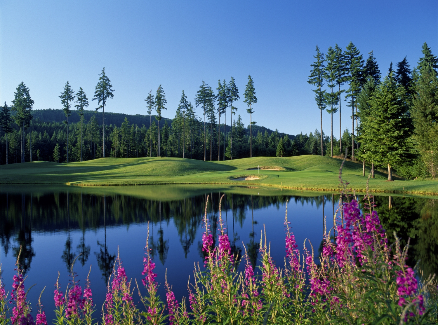 The Best Time to Golf Gold Mountain Golf Club